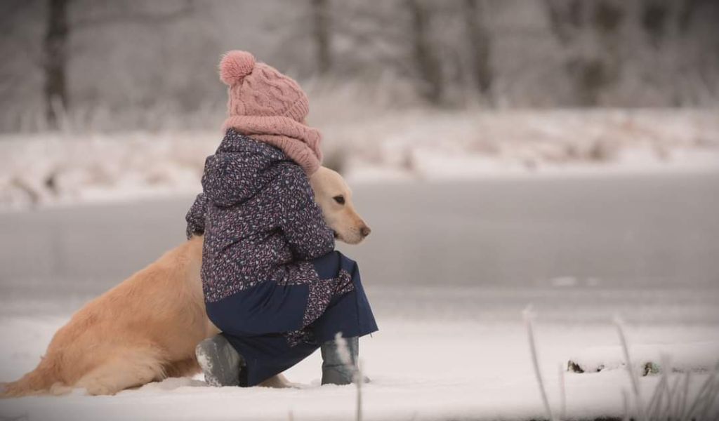 Pepsy canin des mirabelles