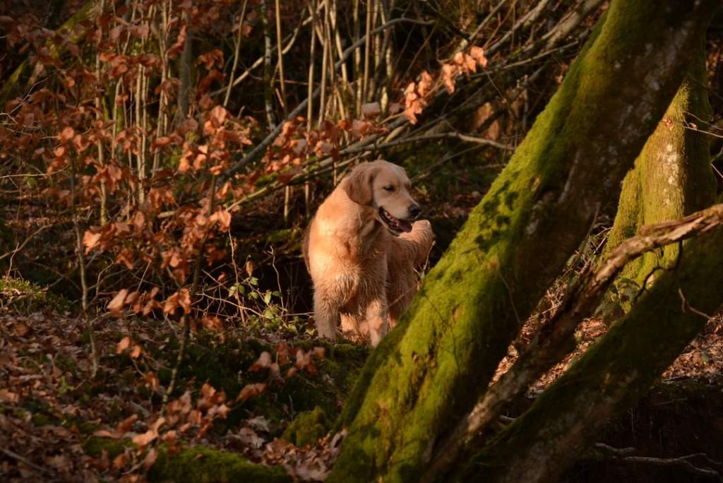 Peace And Love Golden Pretty girl