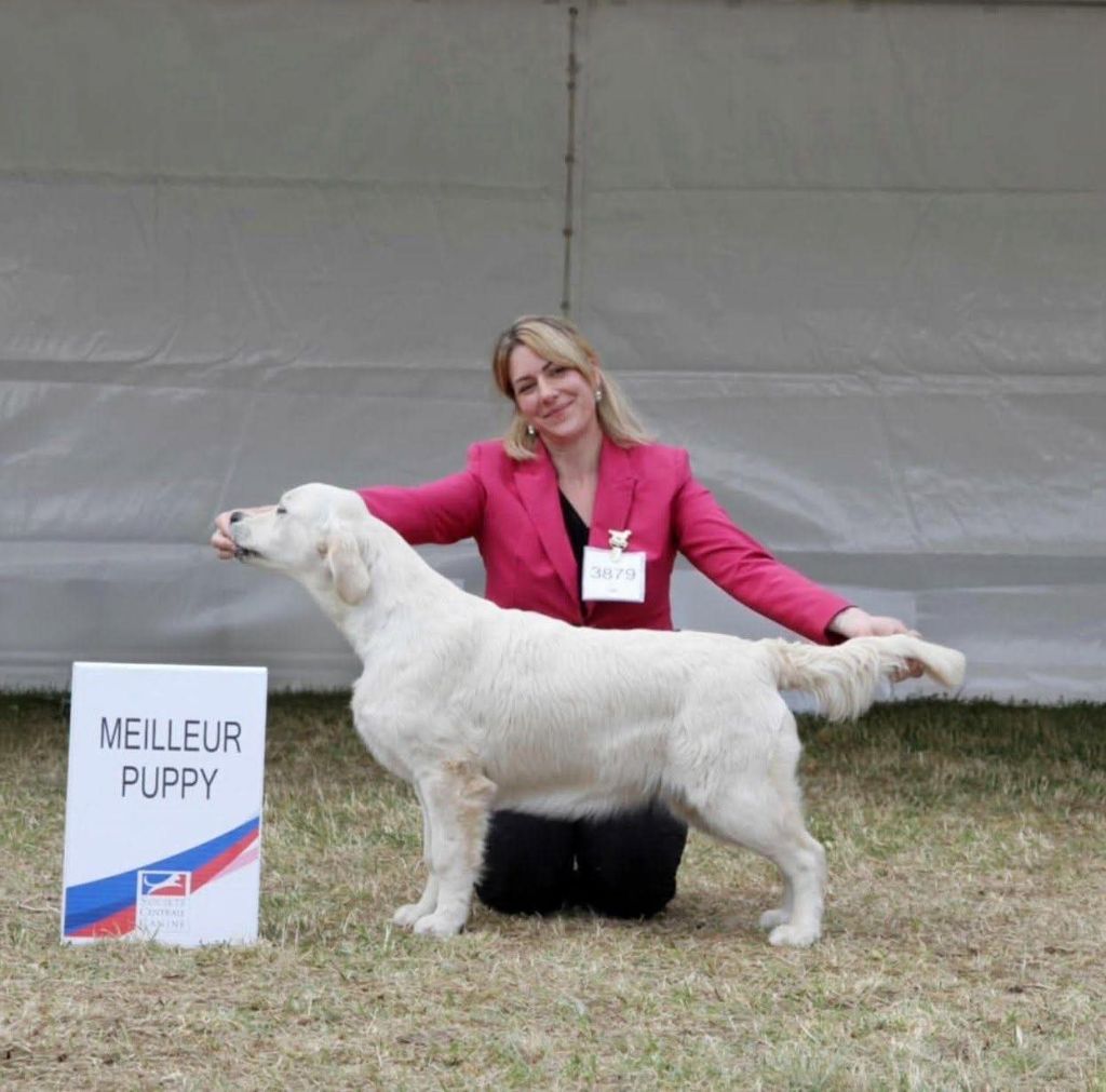 Peace And Love Golden Velvet moon