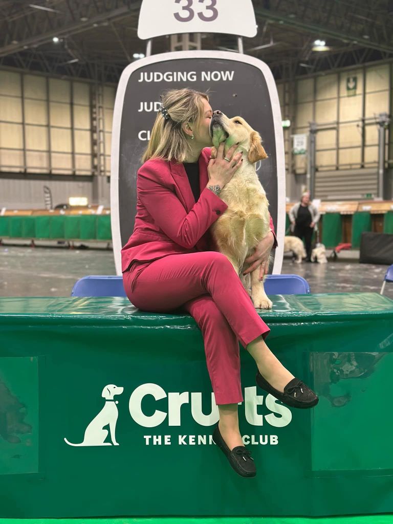 Peace And Love Golden - CRUFTS MARS - 2025 - ANGLETERRE