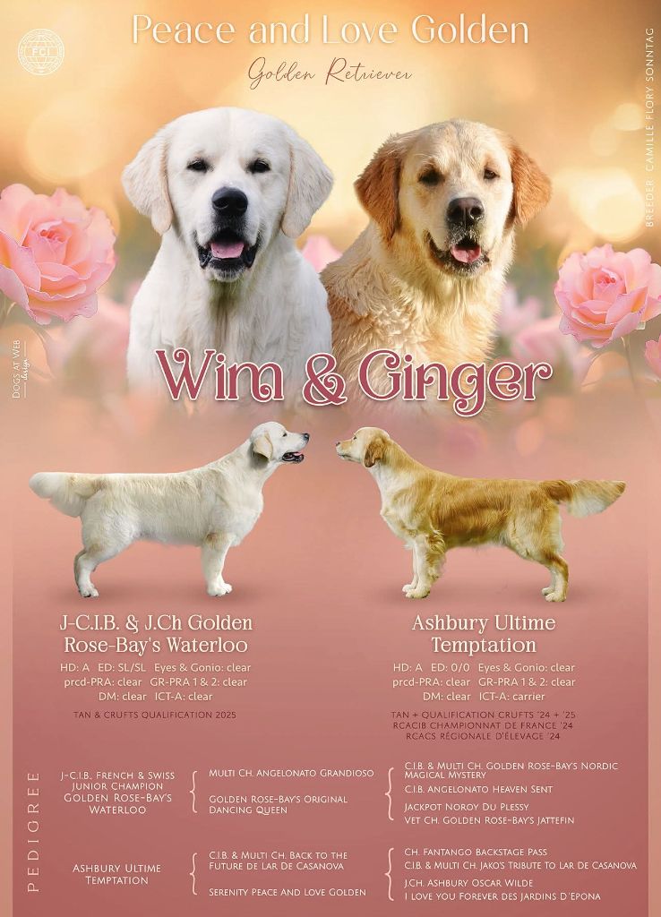 Carnet Rose - Juin 2025 - Ginger & Wim 