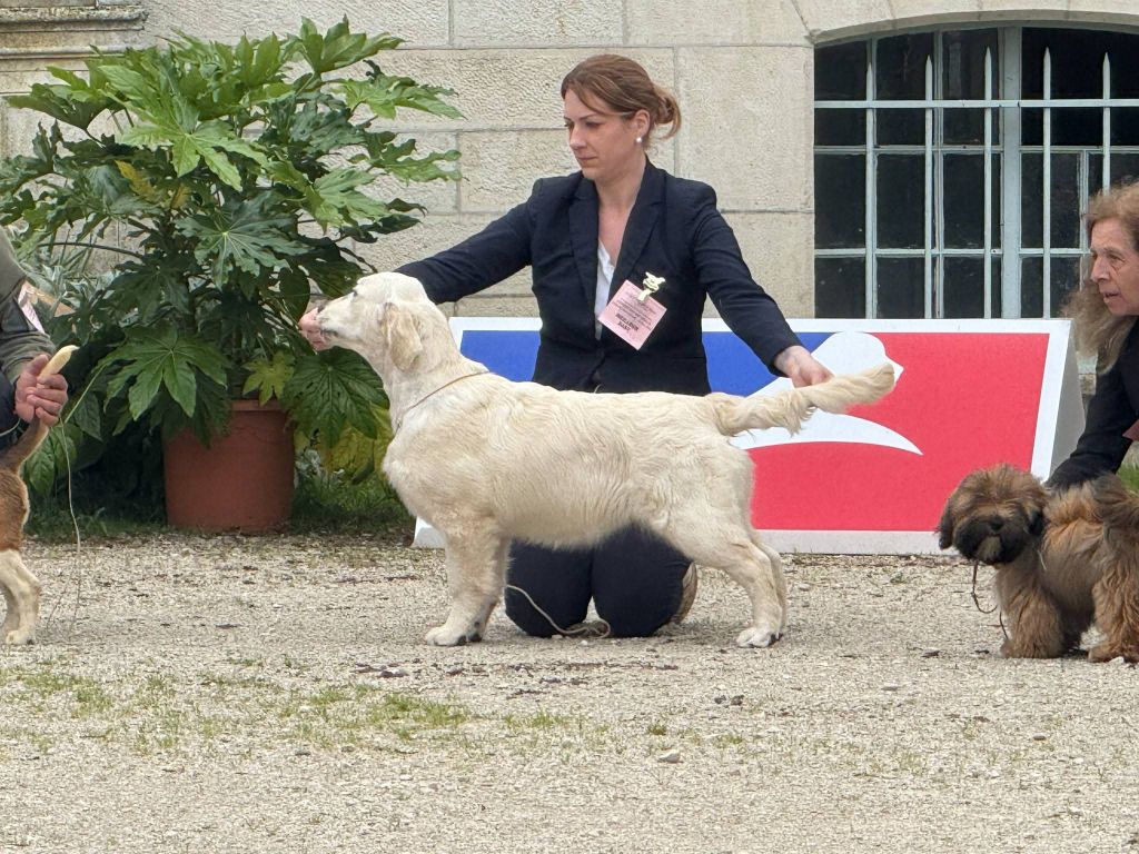 Résultats d'Exposition - Mai 2025 