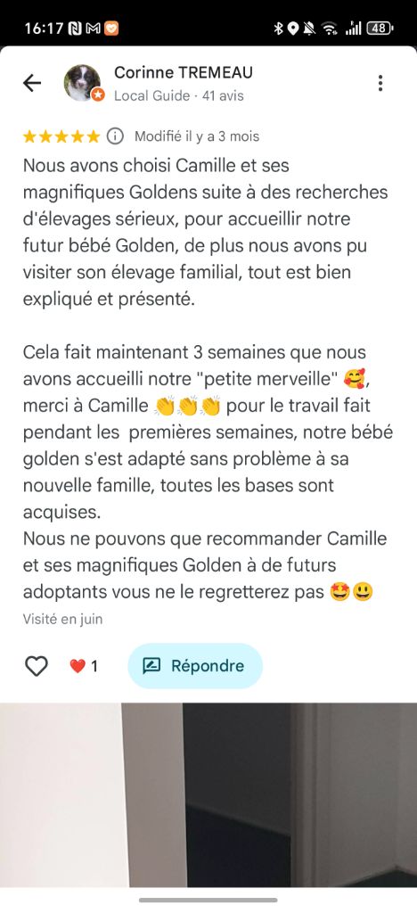 Échantillon des avis Google